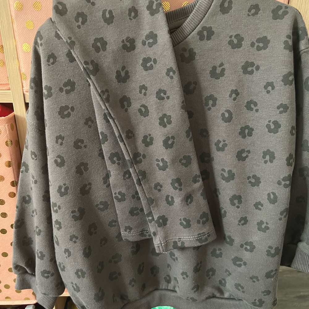 Zara toddler sweat shirt leggings set grey leopard gray new without tags 4-5